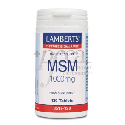 Msm 1000 Mg 120 Comprimidos Lamberts