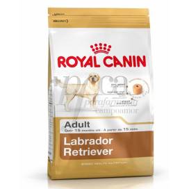 ROYAL CANIN LABRADOR RETRIEVER ADULT 3 KG