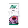 Echinaforce Spray 30ml A Vogel