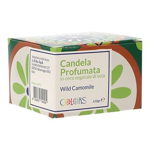 Vela Verde com Perfume de Camomila da Silvest 120 g