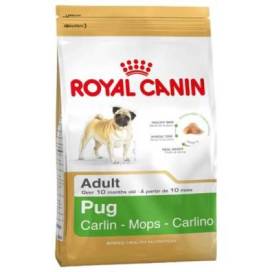 Royal Canin Pug Adult 3 Kg