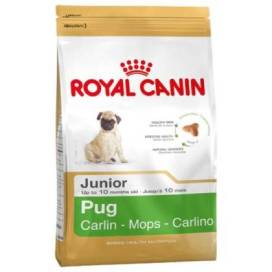 Royal Canin Pug Júnior 1.5 Kg