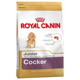 Royal Canin Cocker Júnior 3 Kg