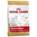 Royal Canin Dalmatian Junior 12 Kg