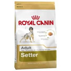 Royal Canin Setter Adult 12 Kg