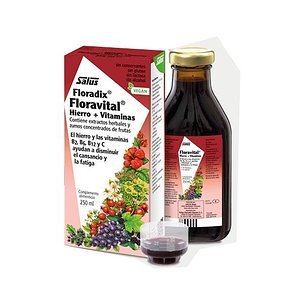 Floravital Glutenfreier Sirup 250 ml