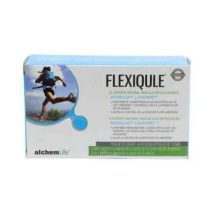 Flexiqule 60 Kapseln