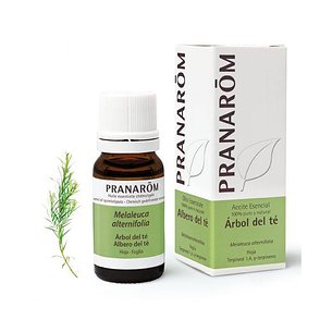 Aceite Esencial Arbol Del Te 1 Envase 10 ml
