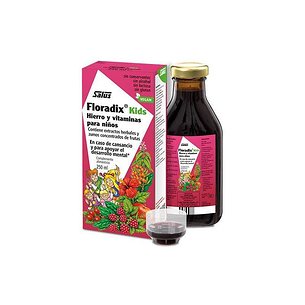 Floradix Kids Raspberry Flavor 250 ml