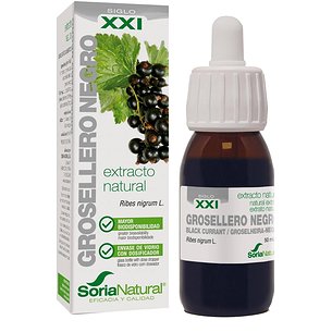 Extracto De Grosellero Negro 50 ml Soria Natural
