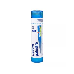 Ledum Palustre 9ch Granulado Iberhome