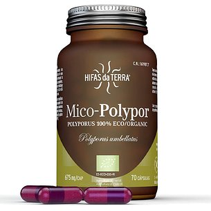 Micopolypor 70 Capsulas Hifas Da Terra