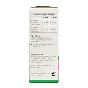 Echinaforce Gotas 100 ml A Vogel 2