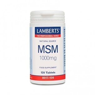 Lamberts Msm 1000 mg 120 comprimidos