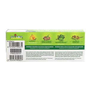 Homeodent Zahnpasta 75 ml Chlorophyll Boiron 2